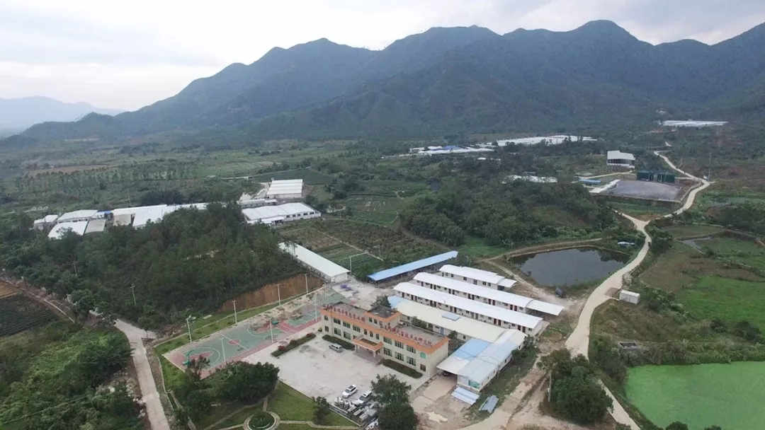 微信图片_20251117134339