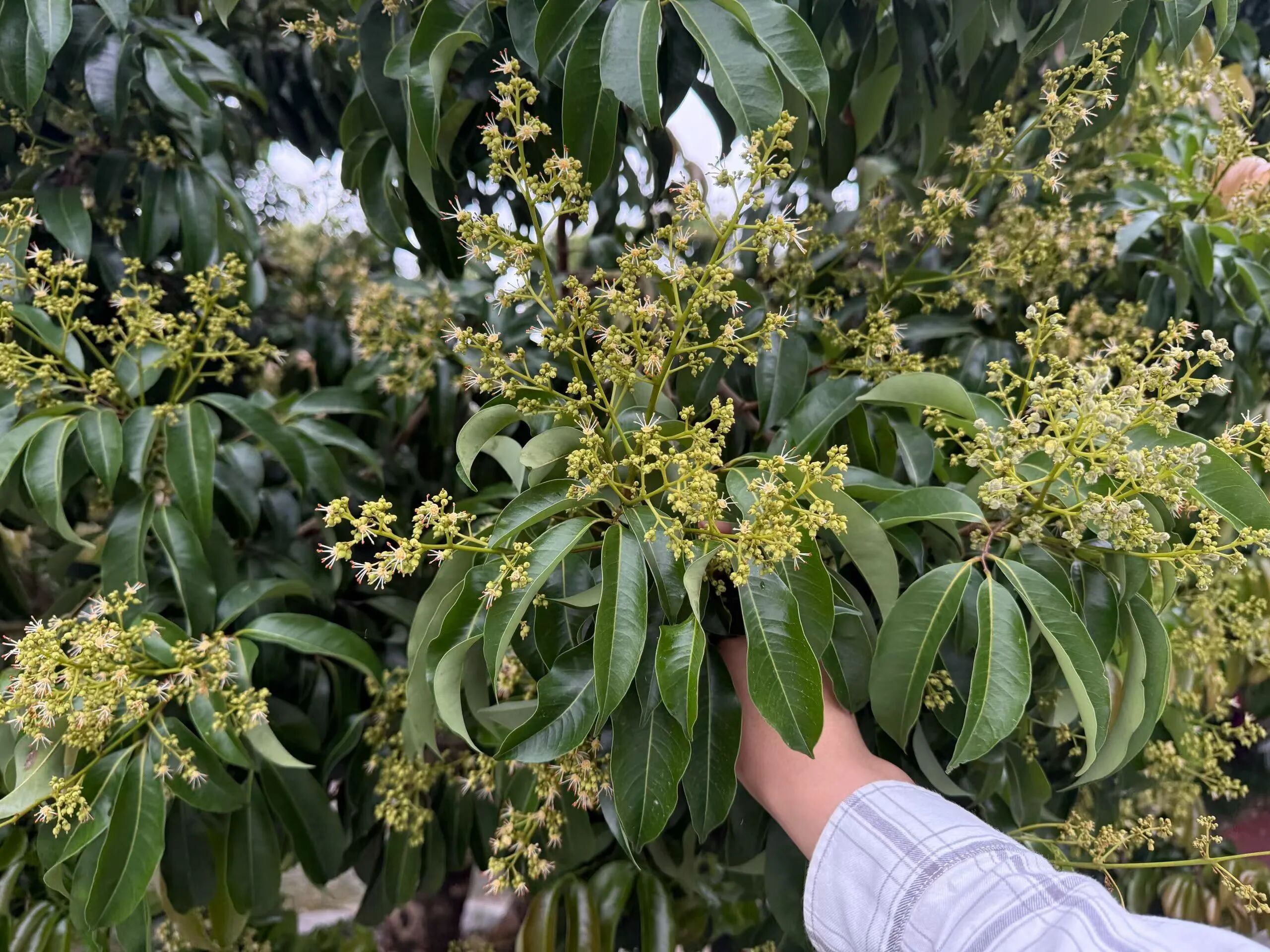 微信图片_20260407180002 微信图片_20260407180002